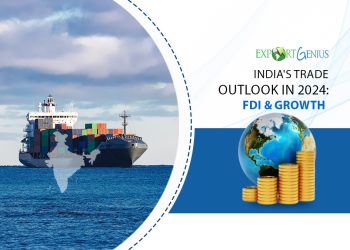 A Look Back at India’s Growth in 2024: Future Possibilities for 2025