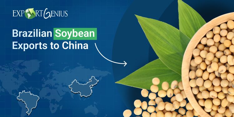 Brazilian Soybean Exports Surge to China as Prices Drop